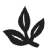 San Jacinto Environmental Supply